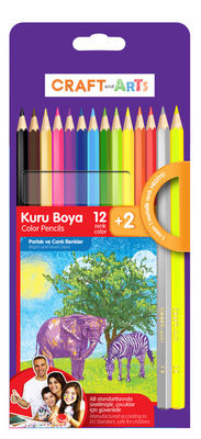 Craft and Arts Kuru Boya 12+2