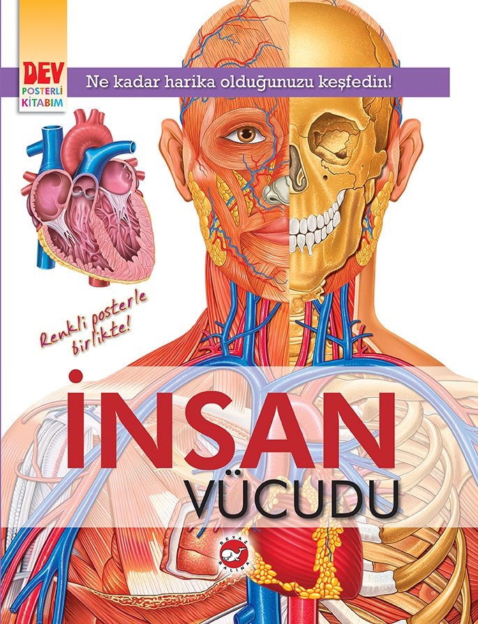 İnsan Vücudu - Dev Posterli Kitabım